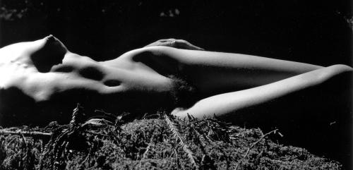 Torso on Fallen Tree